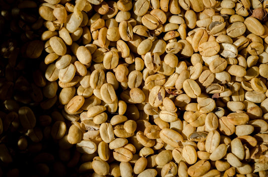 specialty coffee - third-wave - Learn How Good Medicine Coffee Sources Green Beans - by Ryan Grenier - Good Medicine Coffee