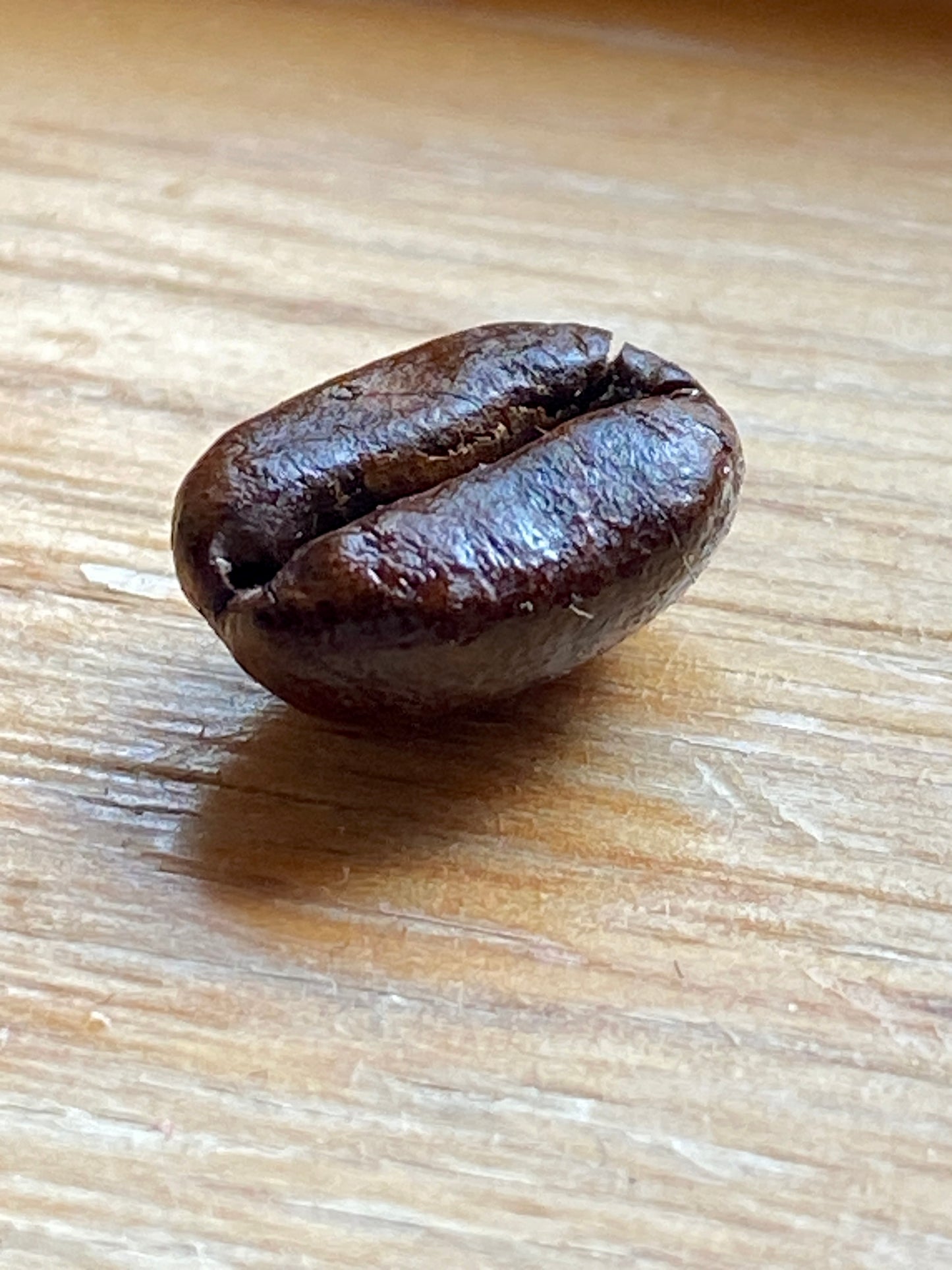 12 oz. Bag Dark to Medium Dark Roasters Choice