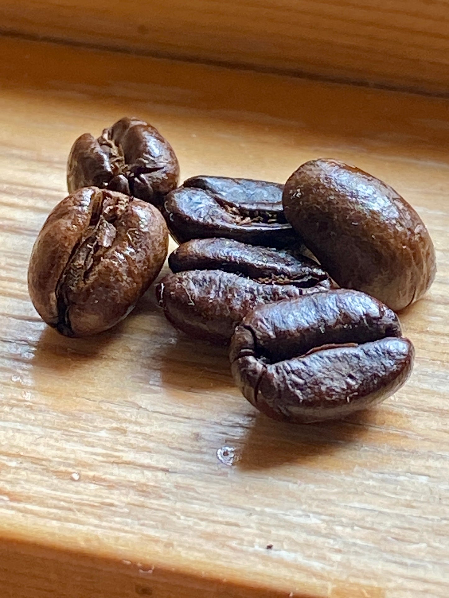 Roasted Coffee Beans