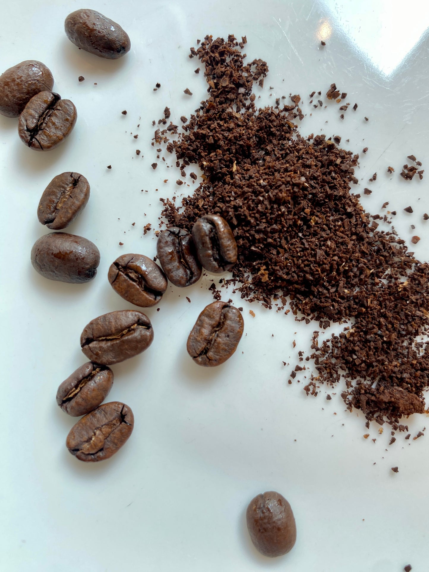 12 oz. Bag DECAF Coffee Beans