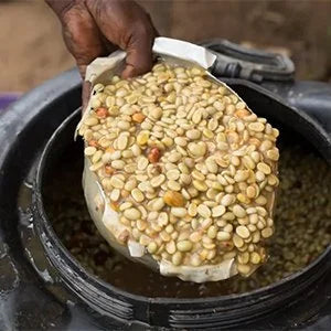 Ethiopia -Mehbuba's Guji Uraga G1